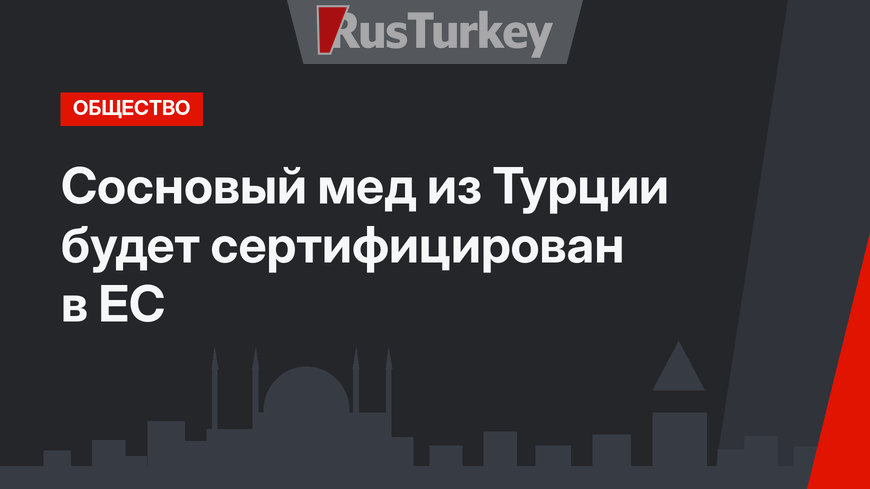 Сосновый мед из Турции будет сертифицирован в ЕС
