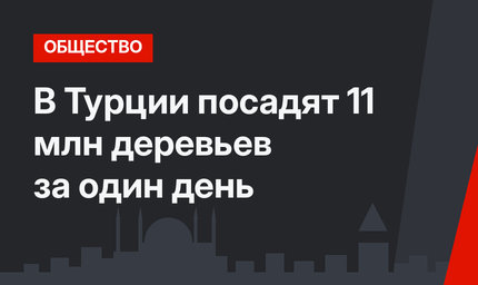В Турции посадят 11 млн деревьев за один день