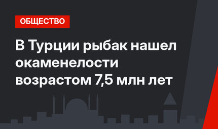 В Турции рыбак нашел окаменелости возрастом 7,5 млн лет