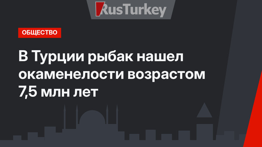 В Турции рыбак нашел окаменелости возрастом 7,5 млн лет