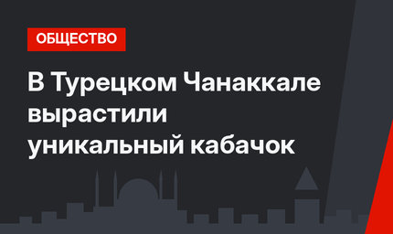 В Турецком Чанаккале вырастили уникальный кабачок