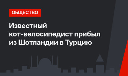 Известный кот-велосипедист прибыл из Шотландии в Турцию