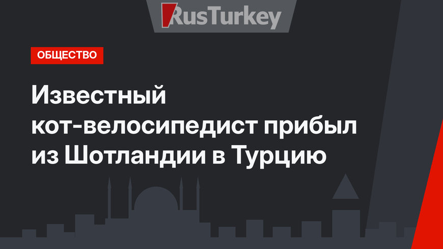 Известный кот-велосипедист прибыл из Шотландии в Турцию