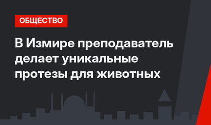 В Измире преподаватель делает уникальные протезы для животных