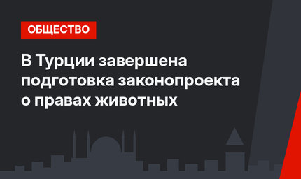 В Турции завершена подготовка законопроекта о правах животных