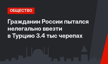 Гражданин России пытался нелегально ввезти в Турцию 3.4 тыс черепах