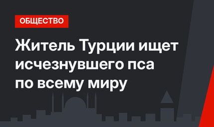 Житель Турции ищет исчезнувшего пса по всему миру
