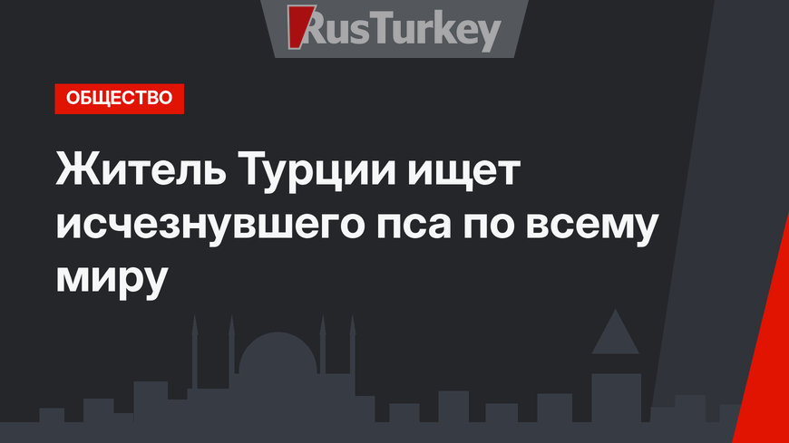 Житель Турции ищет исчезнувшего пса по всему миру