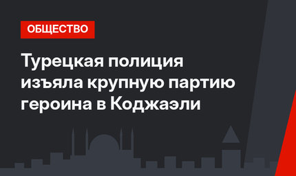 Турецкая полиция изъяла крупную партию героина в Коджаэли