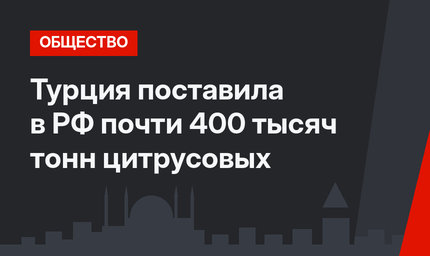 Турция поставила в РФ почти 400 тысяч тонн цитрусовых