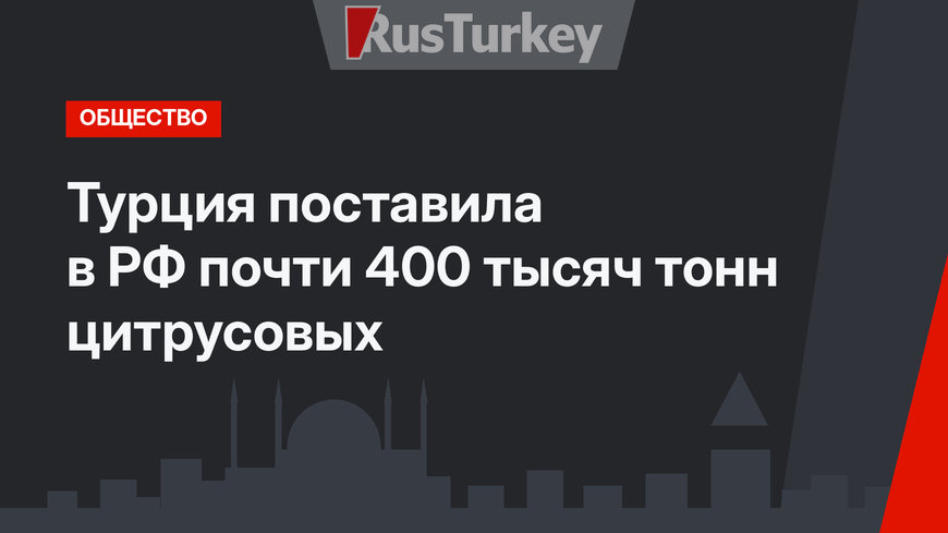 Турция поставила в РФ почти 400 тысяч тонн цитрусовых