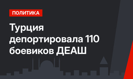 Турция депортировала 110 боевиков ДЕАШ