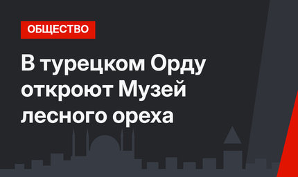 В турецком Орду откроют Музей лесного ореха