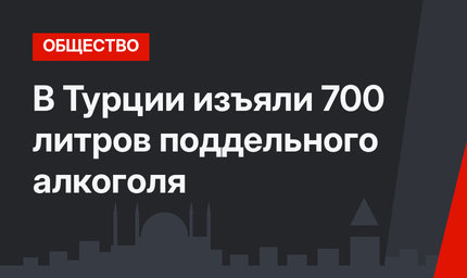 В Турции изъяли 700 литров поддельного алкоголя