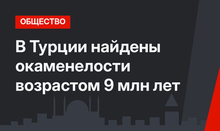 В Турции найдены окаменелости возрастом 9 млн лет
