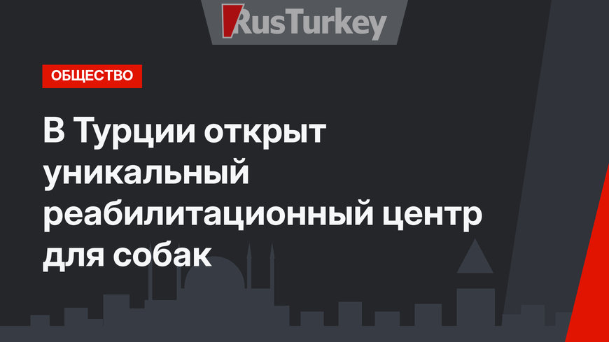 В Турции открыт уникальный реабилитационный центр для собак