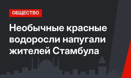Необычные красные водоросли напугали жителей Стамбула