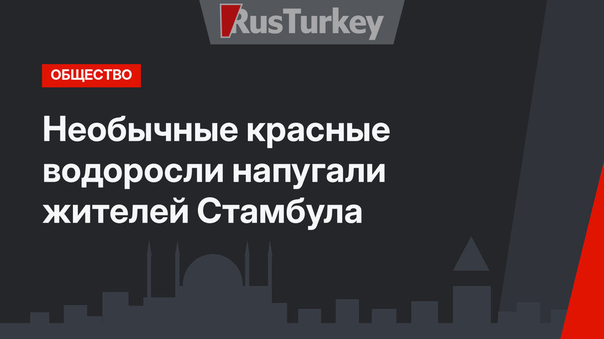 Необычные красные водоросли напугали жителей Стамбула