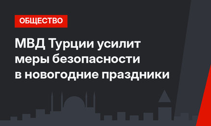 МВД Турции усилит меры безопасности в новогодние праздники