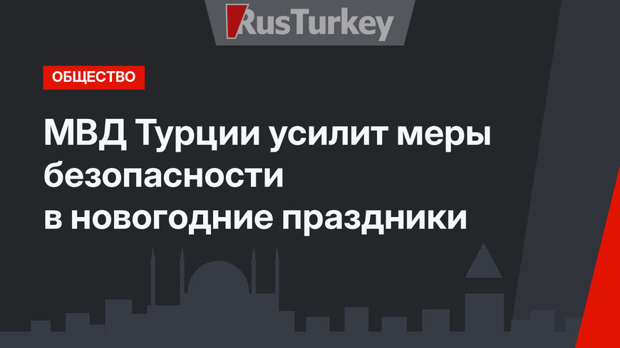 МВД Турции усилит меры безопасности в новогодние праздники