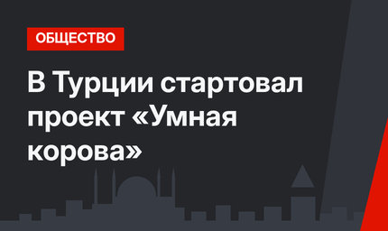 В Турции стартовал проект «Умная корова»