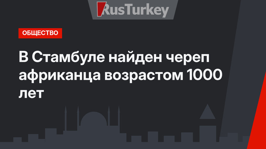В Стамбуле найден череп африканца возрастом 1000 лет