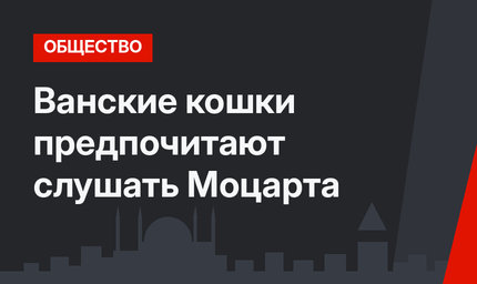 Ванские кошки предпочитают слушать Моцарта