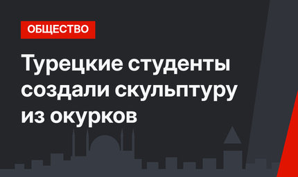 Турецкие студенты создали скульптуру из окурков