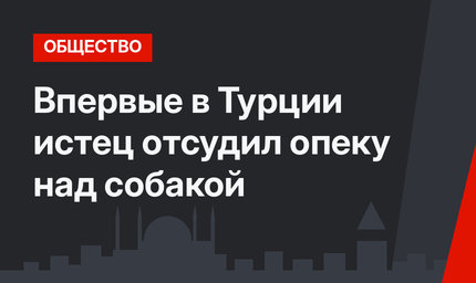 Впервые в Турции истец отсудил опеку над собакой