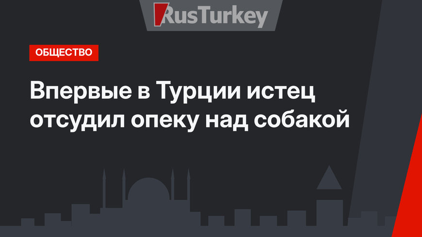 Впервые в Турции истец отсудил опеку над собакой