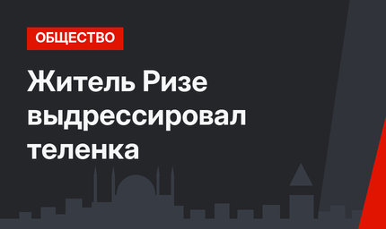 Житель Ризе выдрессировал теленка