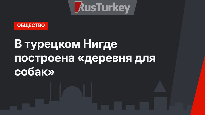 В турецком Нигде построена «деревня для собак»