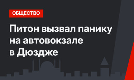 Питон вызвал панику на автовокзале в Дюздже