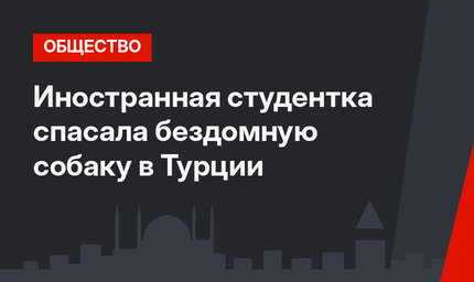 Иностранная студентка спасала бездомную собаку в Турции