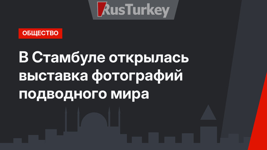 В Стамбуле открылась выставка фотографий подводного мира