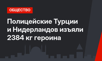 Полицейские Турции и Нидерландов изъяли 2384 кг героина