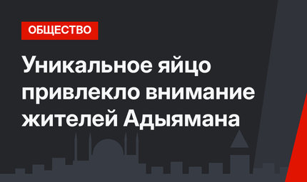 Уникальное яйцо привлекло внимание жителей Адыямана