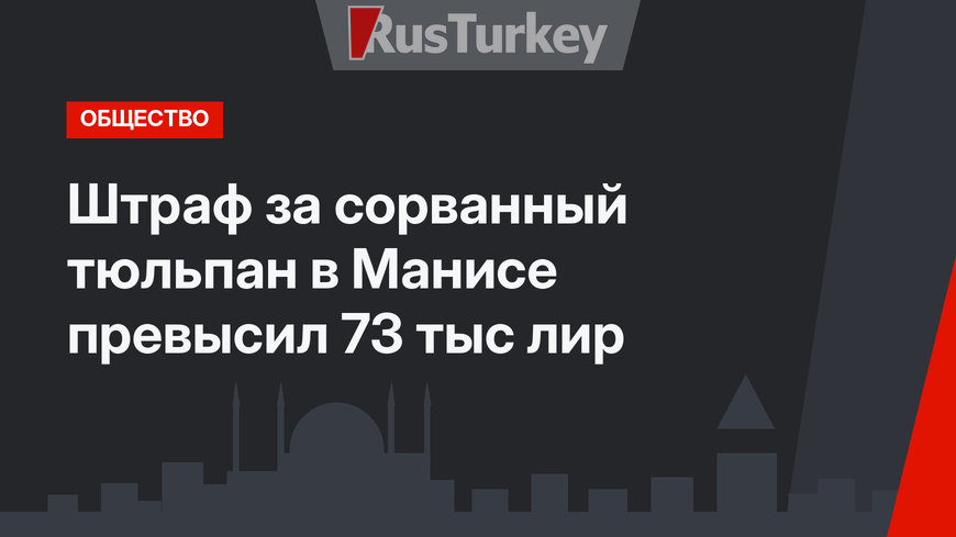 Штраф за сорванный тюльпан в Манисе превысил 73 тыс лир