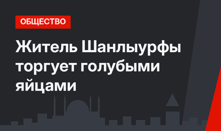 Житель Шанлыурфы торгует голубыми яйцами
