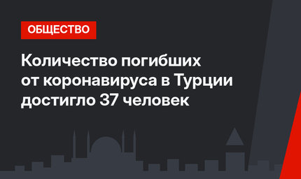 Количество погибших от коронавируса в Турции достигло 37 человек