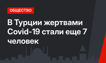 В Турции жертвами Covid-19 стали еще 7 человек