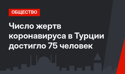 Число жертв коронавируса в Турции достигло 75 человек