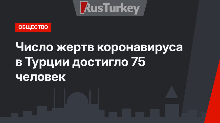 Число жертв коронавируса в Турции достигло 75 человек