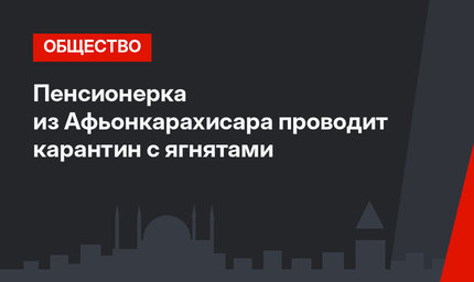 Пенсионерка из Афьонкарахисара проводит карантин с ягнятами