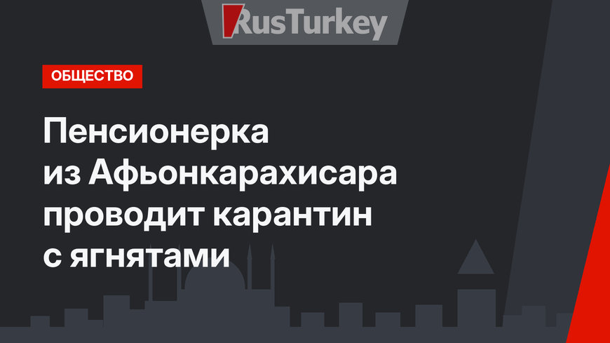 Пенсионерка из Афьонкарахисара проводит карантин с ягнятами