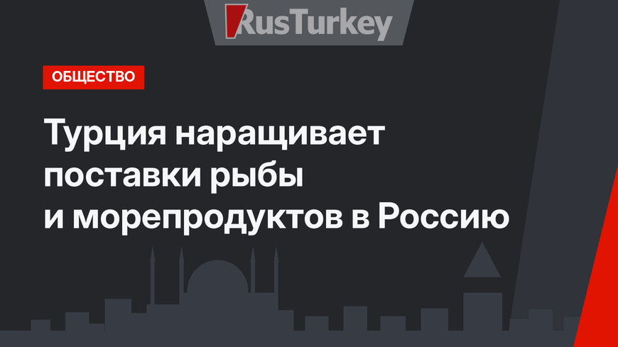 Турция наращивает поставки рыбы и морепродуктов в Россию