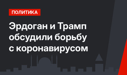 Эрдоган и Трамп обсудили борьбу с коронавирусом