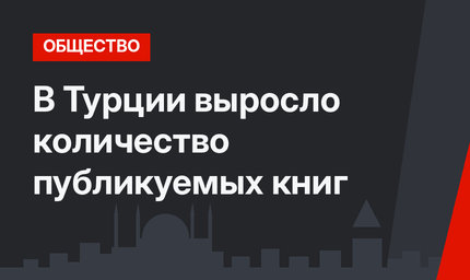 В Турции выросло количество публикуемых книг