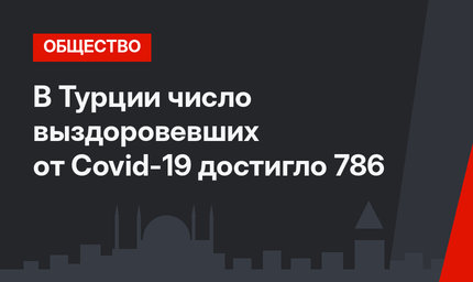 В Турции число выздоровевших от Сovid-19 достигло 786