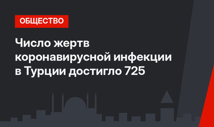 Число жертв коронавирусной инфекции в Турции достигло 725